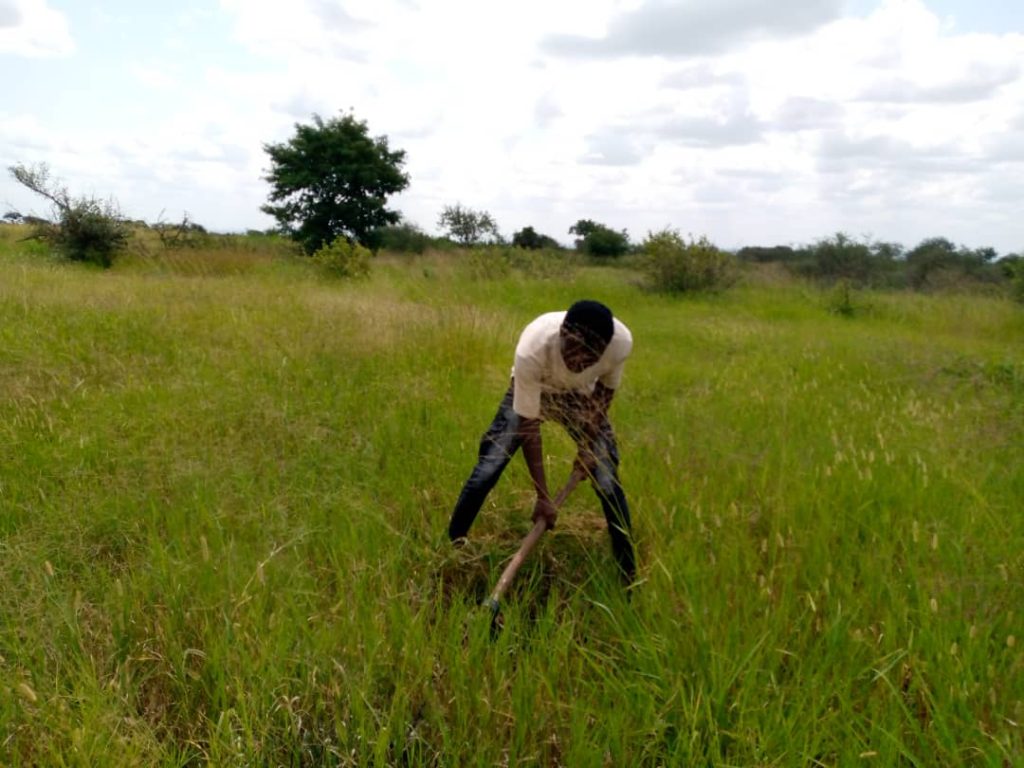 The Ekorete Tree: A Tree of Life in Karamoja